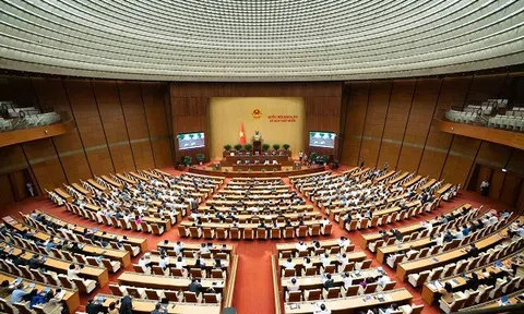 Tuần làm việc thứ ba, Kỳ họp thứ 10, Quốc hội khoá XV: ĐBQH thảo luận ở Tổ về các dự án luật quan trọng