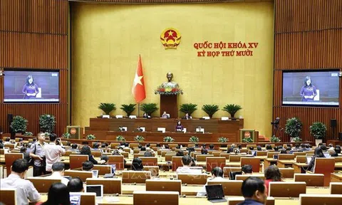 Hôm nay (18/11), Quốc hội thảo luận về Luật Phòng, chống tham nhũng