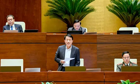 Thông tin lý lịch tư pháp của công dân sẽ được hiển thị thành trường thông tin sẵn có trên VNeID