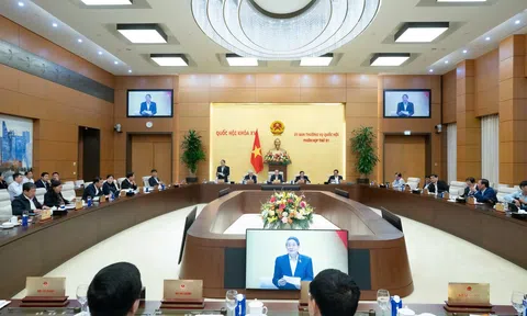 Bổ sung quy định về thành lập Khu thương mại tự do, tạo cơ chế, chính sách đặc thù phát triển TP. Hồ Chí Minh