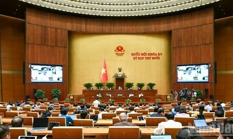 Hoàn thiện hệ thống pháp luật về đầu tư, kinh doanh, thúc đẩy đất nước phát triển trong kỷ nguyên mới (kỳ 1)