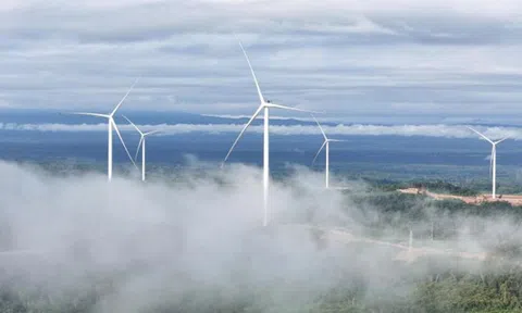 Khi doanh nghiệp tư nhân tạo giá trị bền vững từ năng lượng tái tạo