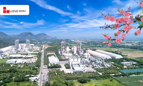 Xi măng Long Sơn – Chúc mừng năm mới chào xuân Bính Ngọ 2026