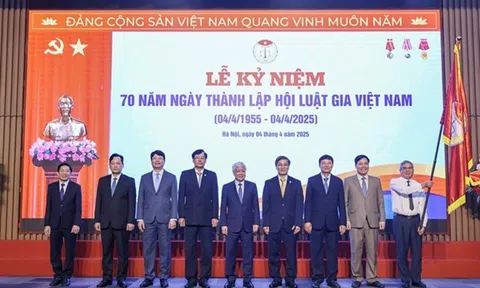 Nâng cao hiệu quả giám sát, phản biện xã hội của Hội Luật gia Việt Nam đáp ứng yêu cầu xây dựng Nhà nước pháp quyền xã hội chủ nghĩa