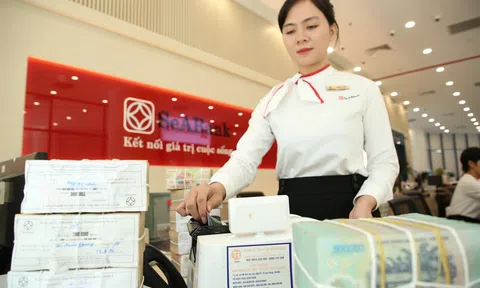 Những dấu ấn phát triền của SeABank năm 2025