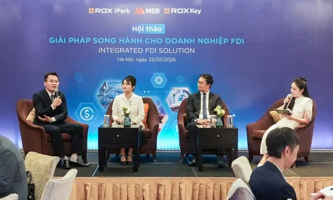 Lợi thế nào trong thu hút và giữ chân doanh nghiệp FDI?