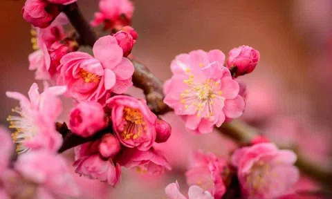 Chào 2026 - Năm khai mở đột phá thể chế, để Việt Nam “cất cánh” !