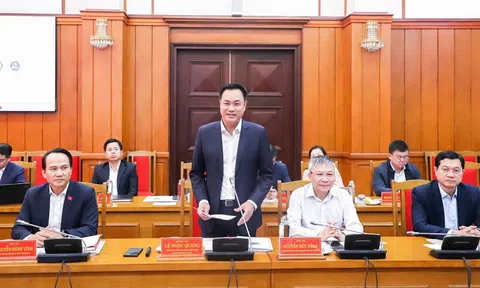 Đà Nẵng xác định THACO là đối tác chiến lược để thúc đẩy tăng trưởng kinh tế