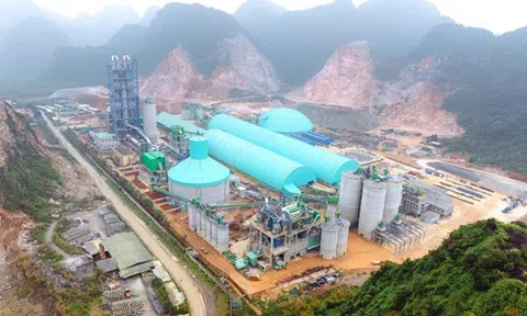 Thị trường xi măng 2026: Doanh nghiệp Việt đang cạnh tranh như thế nào?