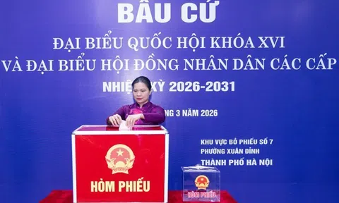 Phó Chủ tịch – Tổng Thư ký Hà Thị Nga gửi thông điệp tới cán bộ MTTQ Việt Nam, các tổ chức chính trị - xã hội và cử tri cả nước trong ngày bầu cử