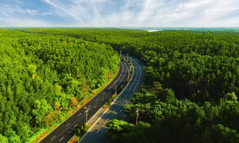 VnExpress Marathon Green Paradise Cần Giờ - Hành trình vạn bước chạy “đánh thức” biểu tượng du lịch mới của TP.HCM