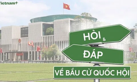 Việc xác nhận tư cách của người trúng cử được thực hiện như thế nào?