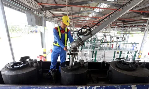 Vai trò của kinh tế nhà nước trên thế giới