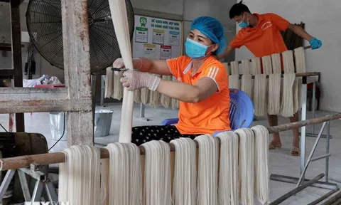 Phát triển mạnh doanh nghiệp tư nhân, nâng cao hiệu quả doanh nghiệp nhà nước