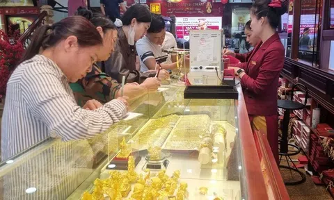 Trước trốn thuế 'khủng', Bảo Tín Minh Châu từng sai phạm gì?