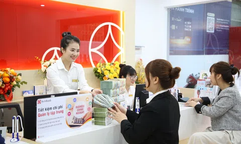 SeABank dự kiến chia cổ tức 20,5%, tăng vốn lên 34.688 tỷ đồng và  đặt mục tiêu lợi nhuận 7.068 tỷ đồng trong năm 2026