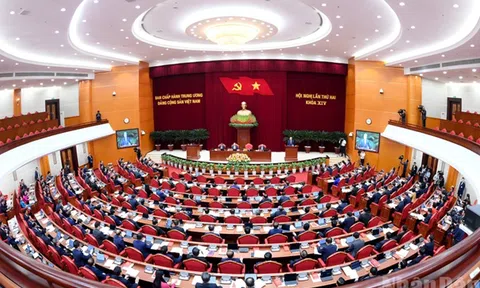 Trung ương yêu cầu sửa Bộ luật Hình sự, giảm hình phạt tù với người phạm tội không vụ lợi