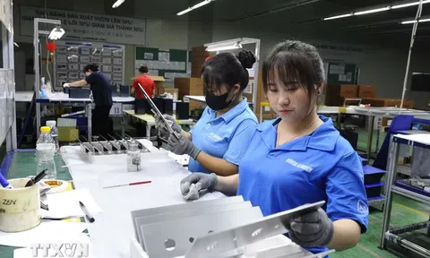 Chính phủ thông qua chính sách của Luật Công nghiệp trọng điểm