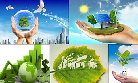 Đề xuất sửa Luật Bảo vệ môi trường