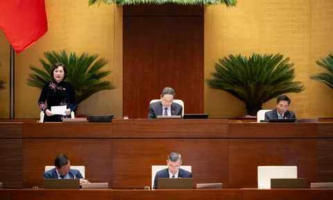 Chính phủ trình Quốc hội dự án Luật sửa đổi 4 luật về Thuế nhằm gỡ khó cho doanh nghiệp và người dân