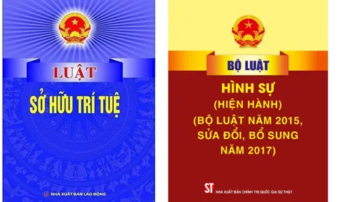 Pháp luật Việt Nam về xử lý hành vi xâm phạm quyền sở hữu trí tuệ trong thương mại điện tử: Thực trạng và kiến nghị