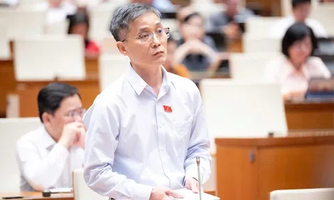 Thí điểm luật sư công tại 8 bộ, 10 địa phương: Cần một cơ quan điều phối chung để hiệu quả