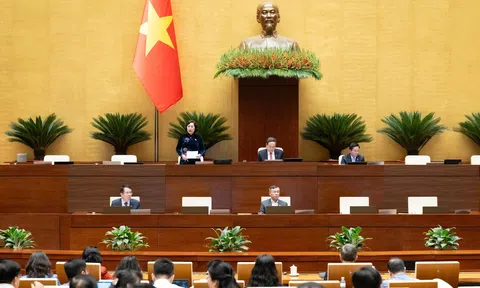 Băn khoăn về thẩm quyền quy định "ngưỡng" thuế trong Dự án Luật sửa đổi, bổ sung một số điều của 4 luật về thuế