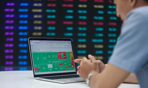 Vingroup lập kỷ lục vốn hóa hơn 60 tỷ USD