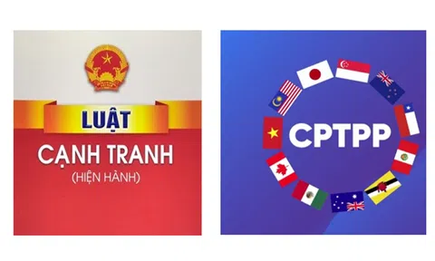 Tính tương thích của pháp luật cạnh tranh Việt Nam trong bối cảnh thực thi các Hiệp định Thương mại tự do thế hệ mới CPTPP và EVFTA: Phân tích từ góc độ thể chế và thực thi