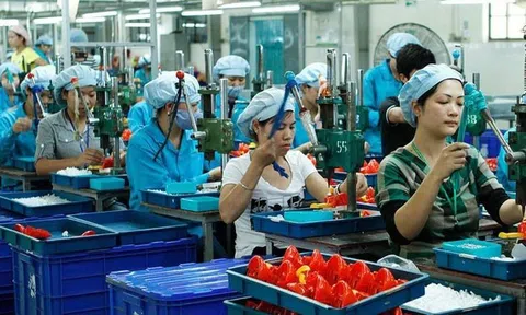 Sửa Luật Hỗ trợ DNNVV: Dừng hỗ trợ dàn trải, thí điểm cho vay không tài sản thế chấp