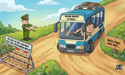 Tạm hoãn xử lý hình sự để khắc phục hậu quả: Bệ đỡ pháp lý vượt trội cho doanh nghiệp