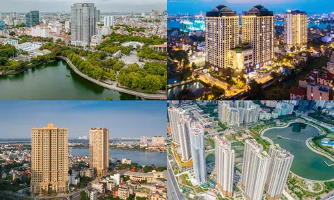 Giải mã “bộ gen” của nhà chế tác bất động sản Tân Hoàng Minh