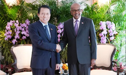 Việt Nam – Singapore: Tăng cường hợp tác trong lĩnh vực đảm bảo an ninh, an toàn trên không gian mạng