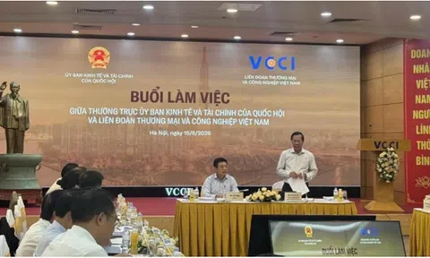 VCCI làm việc với Thường trực Ủy ban Kinh tế và Tài chính của Quốc hội: Tháo gỡ ‘áp lực kép’ cho doanh nghiệp tư nhân
