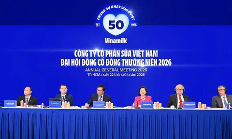 Vinamilk tiếp tục là đại diện duy nhất của ngành sữa Việt Nam trong Fortune 500 Đông Nam Á