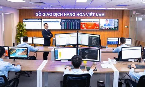 Khung pháp lý phát triển thị trường hàng hoá phái sinh: Việt Nam nên lựa chọn mô hình nào?
