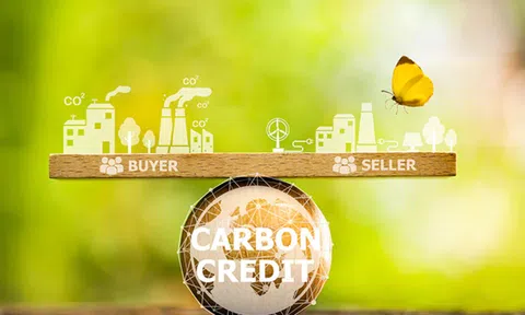 Pháp luật hình sự về gian lận tín chỉ carbon: Kinh nghiệm một số quốc gia và gợi mở cho Việt Nam