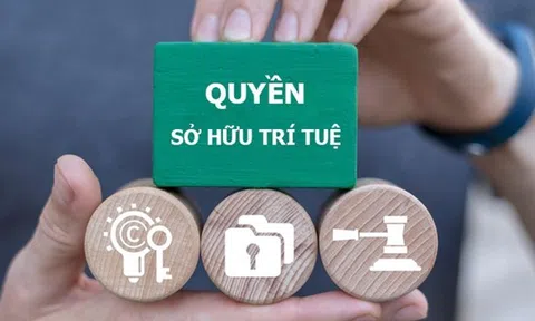 Kết luận của Bộ Chính trị về đẩy mạnh công tác sở hữu trí tuệ phục vụ phát triển kinh tế - xã hội trong tình hình mới