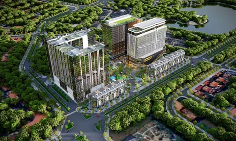 D’. Diamant Bleu: ‘Gen vị trí’ định hình chuẩn sống xanh đắt giá