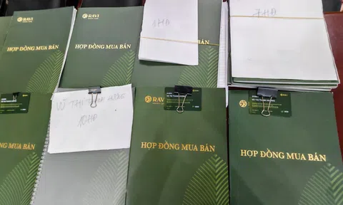 Từ vụ “Hợp đồng sở hữu kỳ nghỉ”: Nghĩ về giới hạn của sự đồng ý trong luật hợp đồng hiện đại