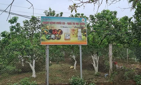 Ngành nông nghiệp huyện Thạch Thất (Hà Nội): Tập trung phát triển theo hướng hiệu quả, bền vững