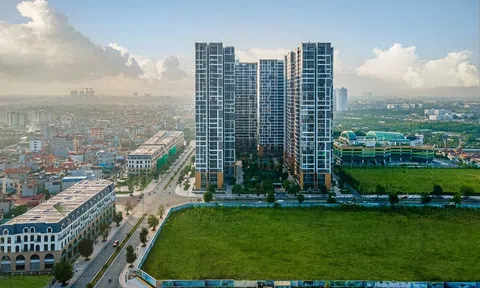 Nhà đầu tư “hái ra tiền” từ căn hộ cho thuê tại phân khu đậm chất Nhật Bản