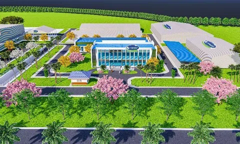 Nhiều dự án bước vào triển khai, Vinamilk và các công ty thành viên liên tiếp công bố tin mới