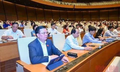 Những qui định mới quan trọng trong Luật Sở hữu trí tuệ và Luật Kinh doanh bảo hiểm vừa được Quốc hội thông qua