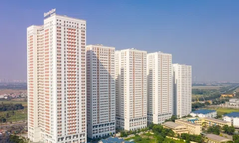 Hà Nội: Săn tìm căn hộ giá bình dân vì lo đội giá