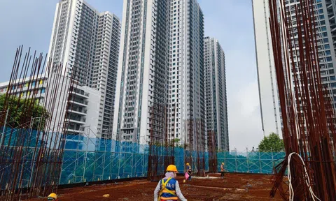 Đẩy nhanh tiến độ thi công khu văn phòng – dịch vụ tại Dự án 136 Hồ Tùng Mậu