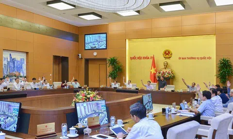 Thông qua Pháp lệnh Xử phạt vi phạm hành chính hành vi cản trở hoạt động tố tụng