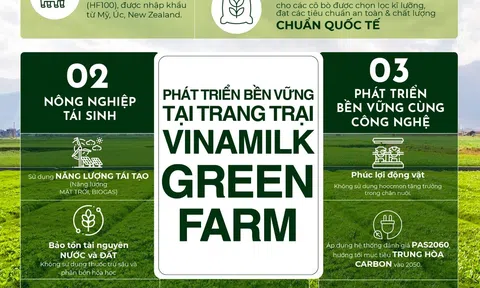 Tiêu dùng bền vững – xu hướng cần được doanh nghiệp nắm bắt và thúc đẩy