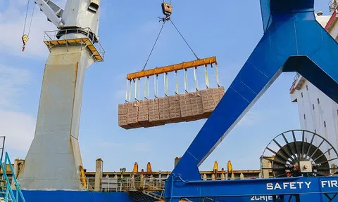 Cảng Chu Lai nâng cao năng lực phục vụ xuất nhập khẩu hàng rời