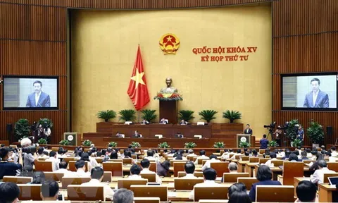 Những vấn đề lớn trong dự án Luật Thanh tra và Luật Giao dịch điện tử ( sửa đổi)